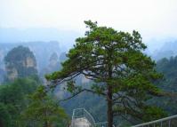 Yaozizhai Scenic Area at Zhangjiajie National Park