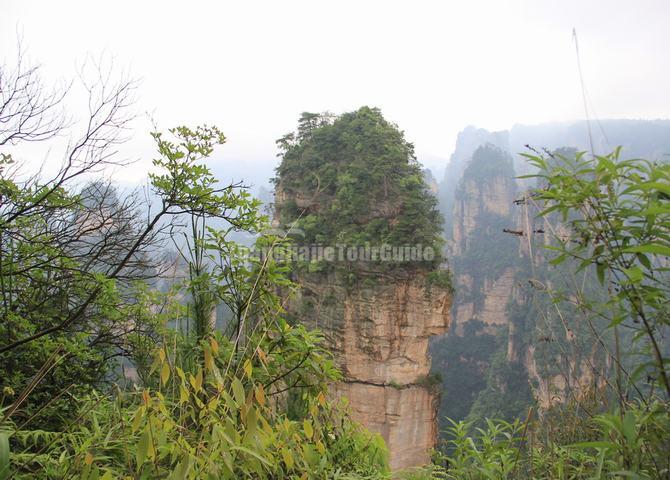 Yaozizhai Scenic Area, Zhangjiajie, China