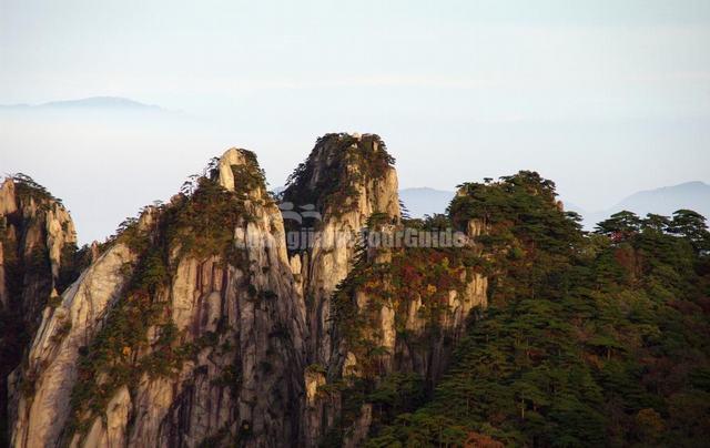 Yellow Mountain with Beautiful Trees China