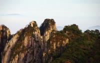 Yellow Mountain with Beautiful Trees China