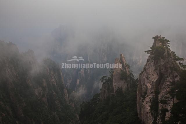 Yellow Mountain with Sea of Clouds Covered It