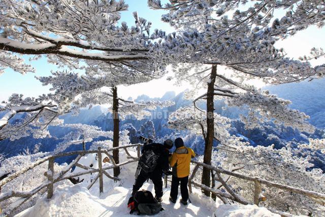 Huangshan Mountain Snow