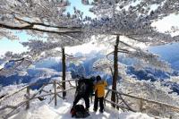 Huangshan Mountain Snow