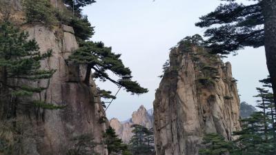 Yellow Mountain