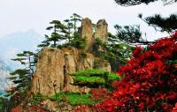 Yellow Mountain Charming Landscape China