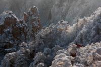 Yellow Mountain Landscape Huangshan