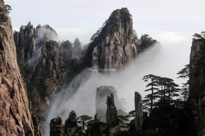 Yellow Mountain