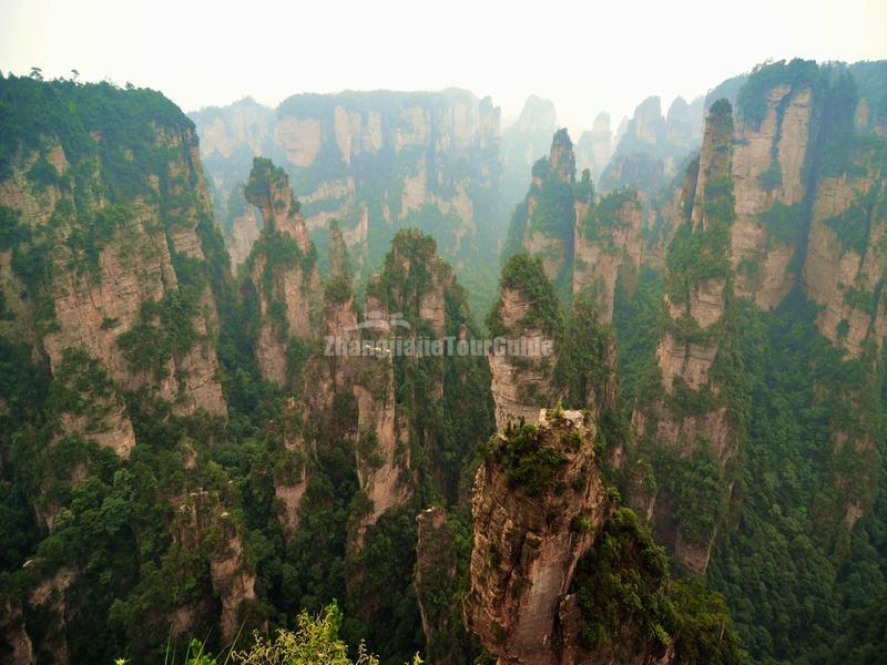 Yuanjiajie Scenic Area