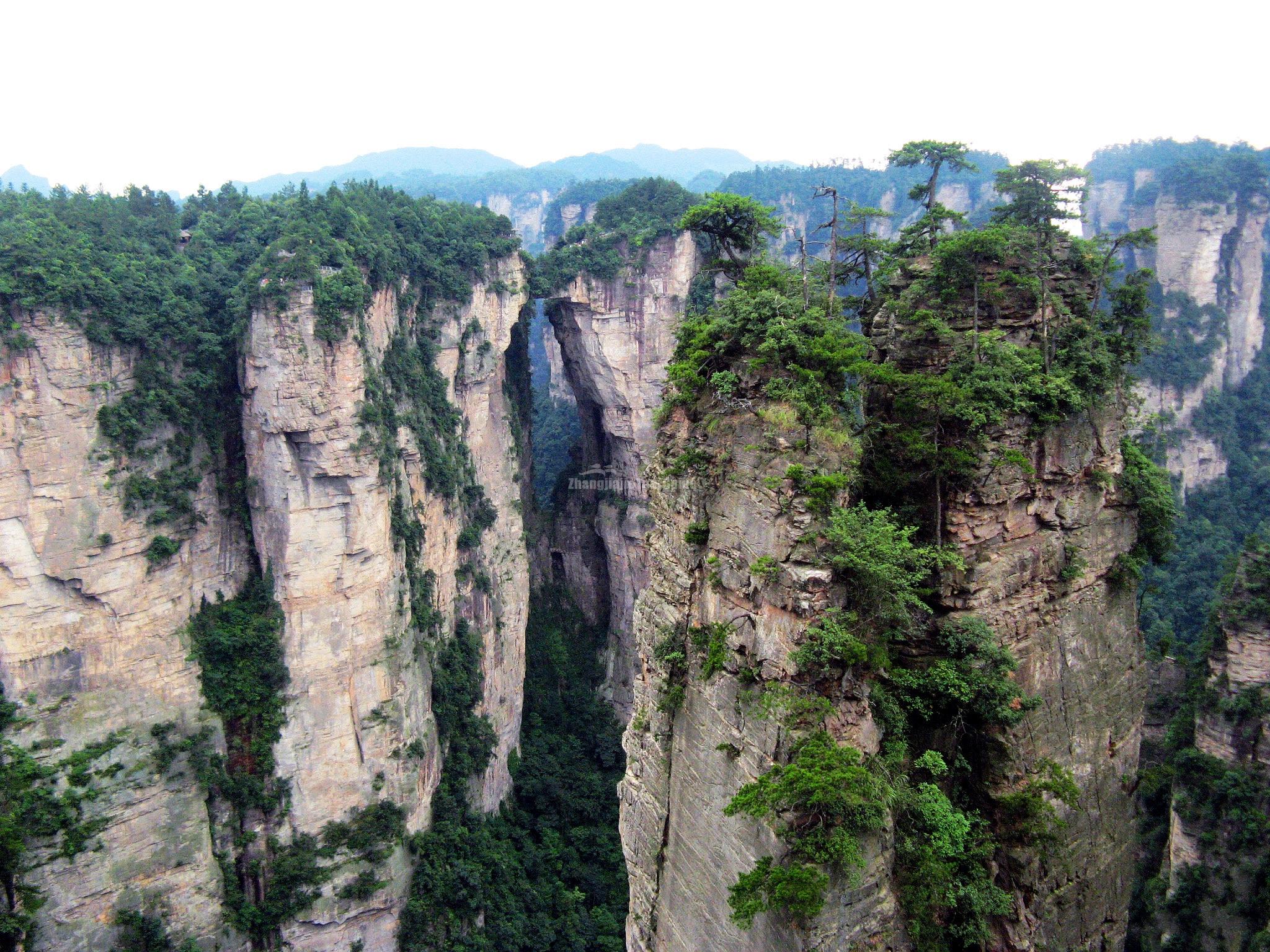 Yuanjiajie Scenic Area