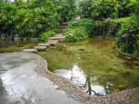 Yuexiu Park Pool Guangzhou