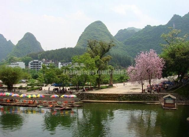 Yulong River Spring Scenery Yangshuo