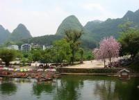 Yulong River Spring Scenery Yangshuo