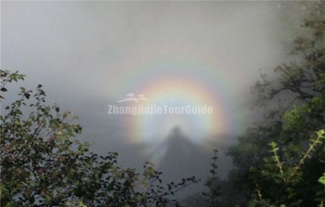 Zhangjiajie Multicolored Light