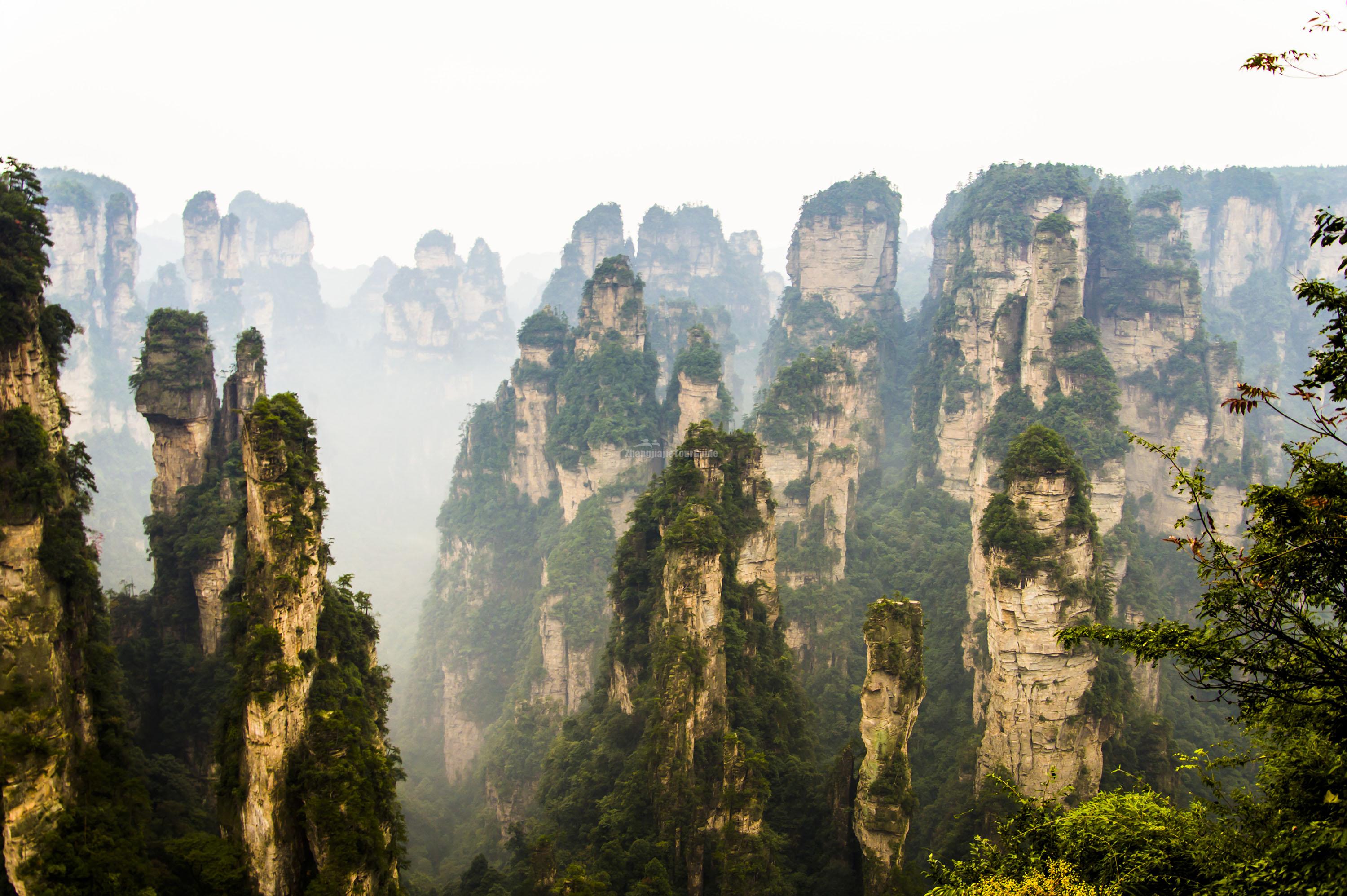 Zhangjiajie National Forest Park Peaks