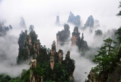 Sea of Clouds in Zhangjiajie National Forest Park