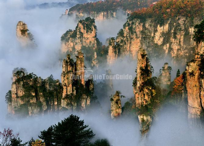 Zhangjiajie National Forest Park in Fall