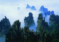 Zhangjiajie National Forest Park in Fog