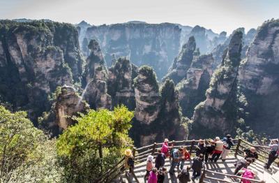 Visit Zhangjiajie National Forest Park