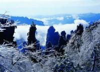 Zhangjiajie National Forest Park in Winter