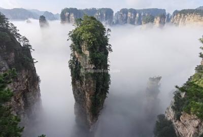 The Hallelujah Mountains