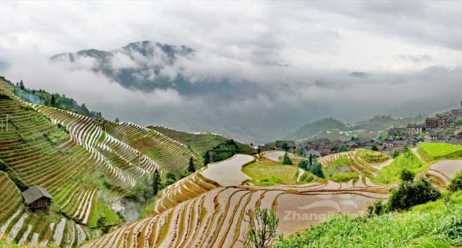 8-day Zhangjiajie Guilin Yangshuo Longsheng Tour 8-day Zhangjiajie Guilin Yangshuo Longsheng Tour