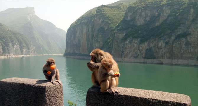 9-day Zhangjiajie Fenghuang Chongqing with Yangtze Cruise Tour 